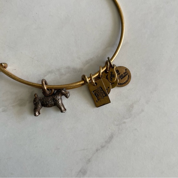 Alex and Ani Monopoly Dog Charm Bracelet - Picture 5 of 7